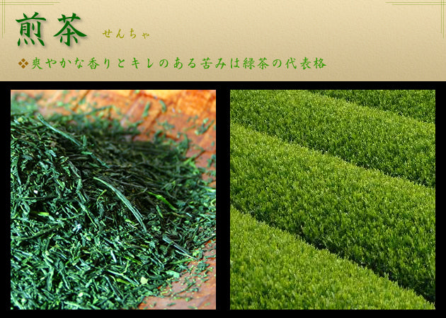 煎茶(せんちゃ)